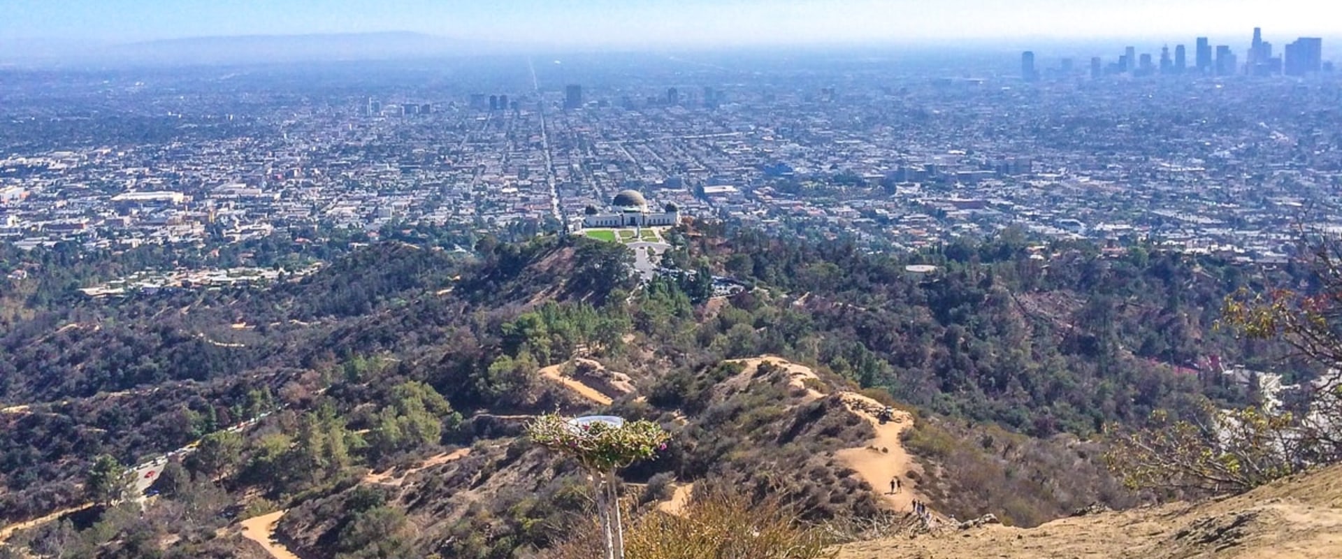 Why los angeles is the best city?